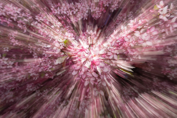 Nature Motion Blur - May 2026