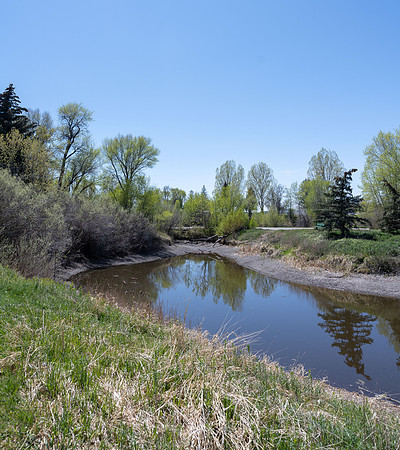 Nature Park - May 2026