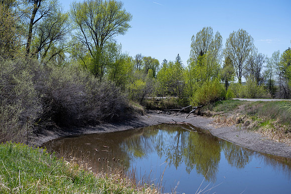 Nature Park - May 2026