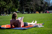 Porter Park - May 2026