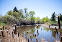 Nature Park - May 2026