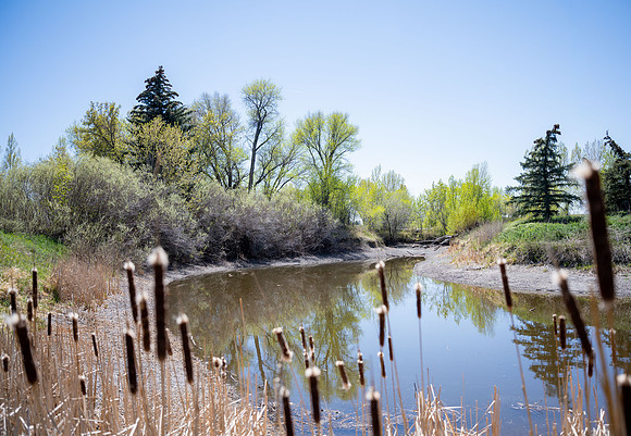 Nature Park - May 2026