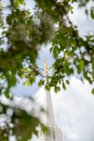 Spring Day Around Campus - May 2026