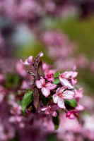 Color Walk - May 2026