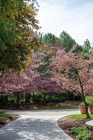 Color Walk - May 2026