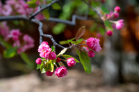 Color Walk - May 2026