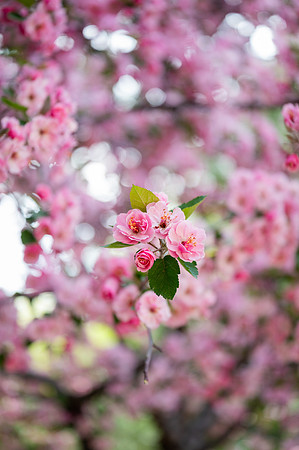 Color Walk - May 2026