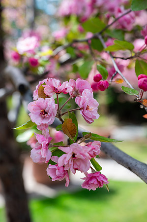 Color Walk - May 2026