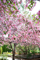 Color Walk - May 2026