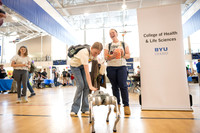 Majors Fair - May 2026