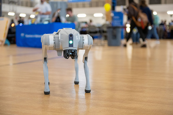 Majors Fair - May 2026