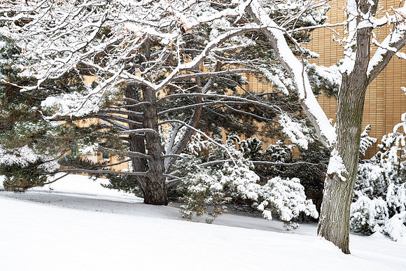 Campus Snow Day - Feb 2026