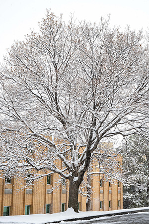 Campus Snow Day - Feb 2026