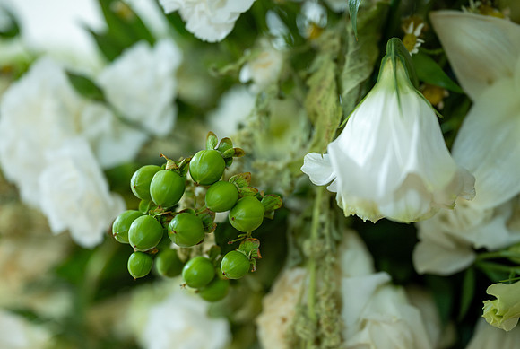 Color Walk - Green - May 2026