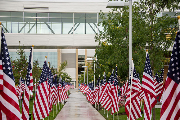 BYU-Idaho places flags on campus in remembrance of the freedoms afforded by the nation's Constitution.