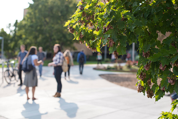 Students on the first day of school of Fall Semester.