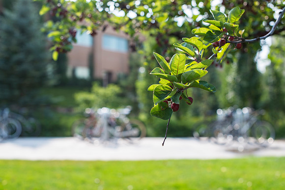 Students on the first day of school of Fall Semester.