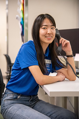 Mentor Hub where students mentor students.