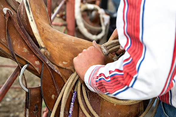 SpringFest Rodeo - June 2026