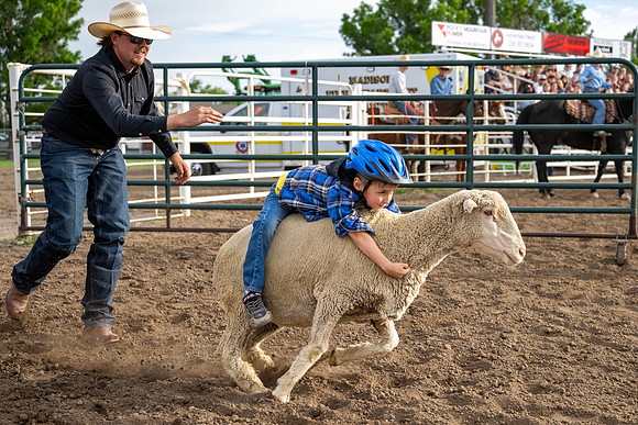 SpringFest Rodeo - June 2026
