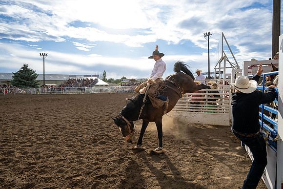 SpringFest Rodeo - June 2026