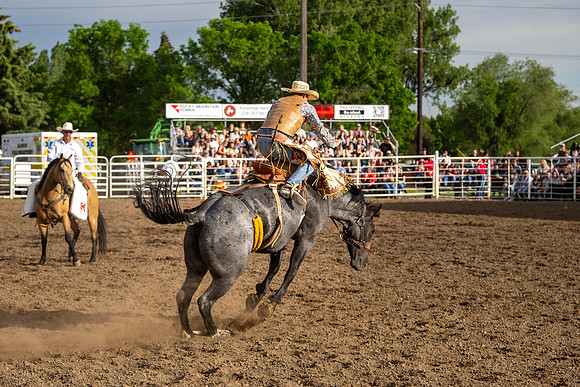 SpringFest Rodeo - June 2026