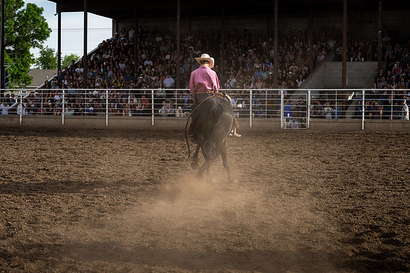 SpringFest Rodeo - June 2026