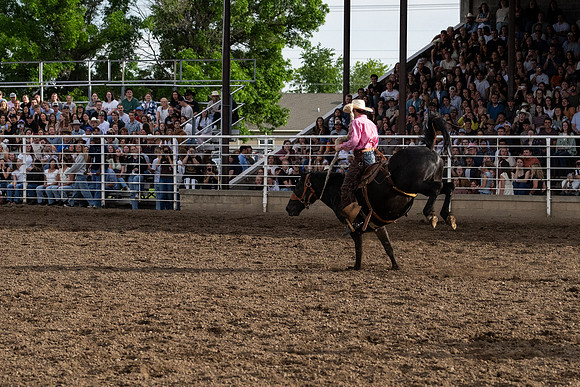 SpringFest Rodeo - June 2026