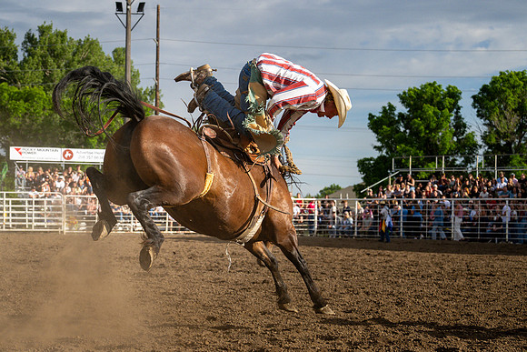 SpringFest Rodeo - June 2026