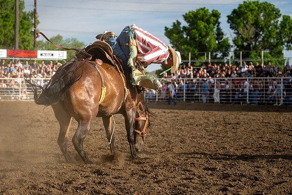 SpringFest Rodeo - June 2026