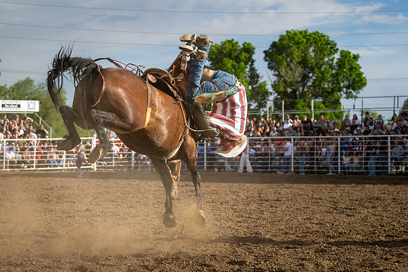 SpringFest Rodeo - June 2026