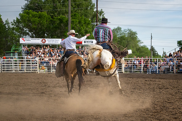 SpringFest Rodeo - June 2026