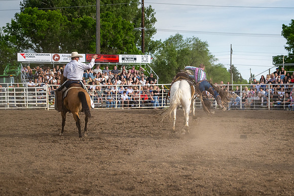 SpringFest Rodeo - June 2026