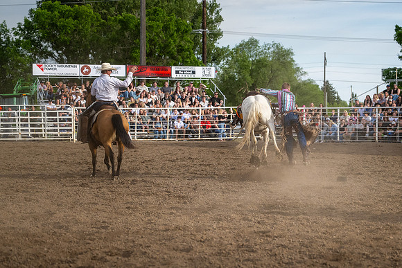 SpringFest Rodeo - June 2026