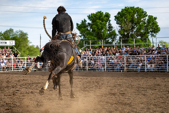 SpringFest Rodeo - June 2026
