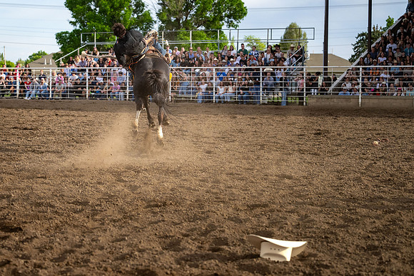 SpringFest Rodeo - June 2026