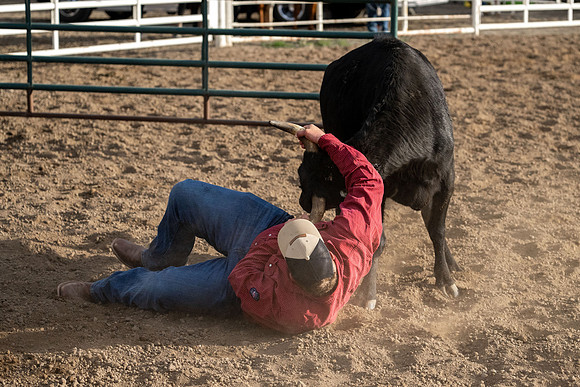 SpringFest Rodeo - June 2026