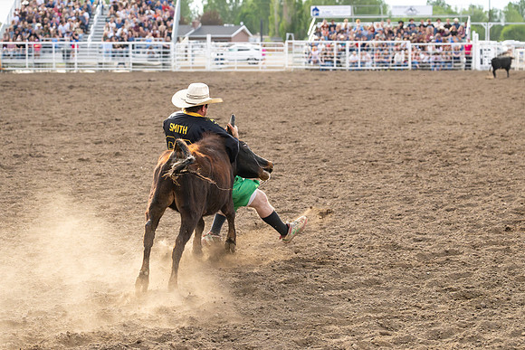 SpringFest Rodeo - June 2026