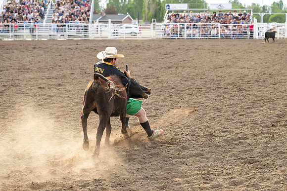 SpringFest Rodeo - June 2026