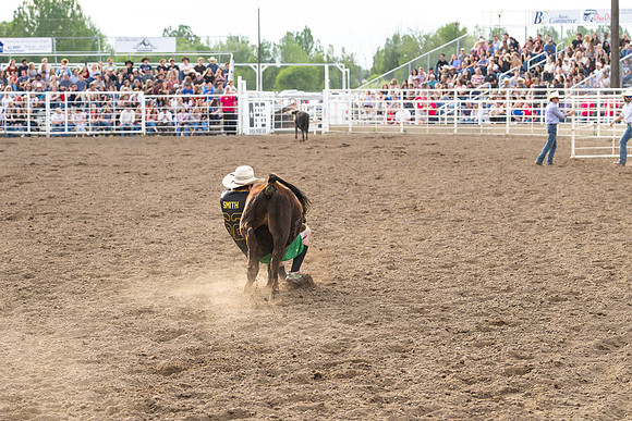 SpringFest Rodeo - June 2026