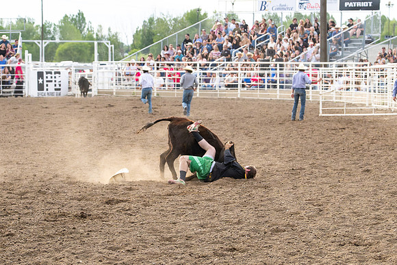 SpringFest Rodeo - June 2026