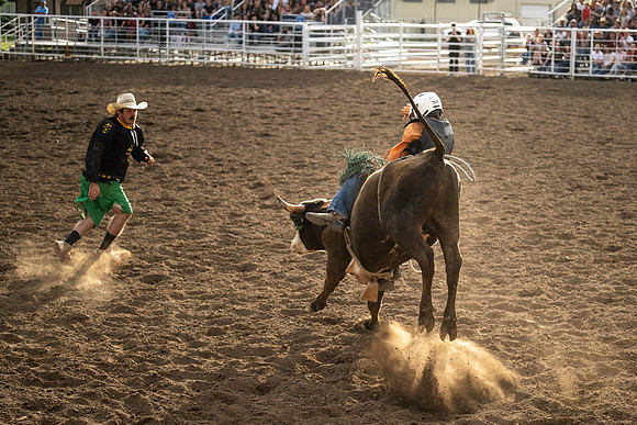 SpringFest Rodeo - June 2026