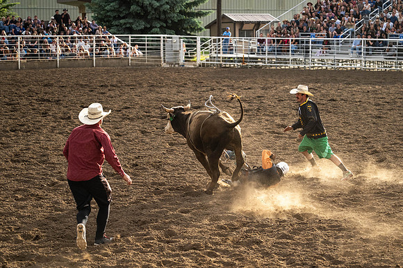 SpringFest Rodeo - June 2026