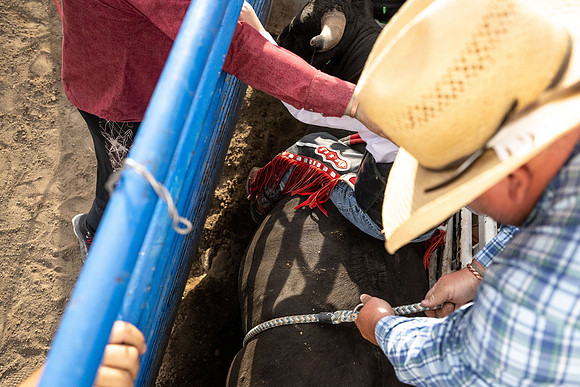SpringFest Rodeo - June 2026