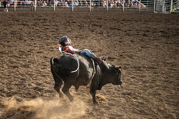 SpringFest Rodeo - June 2026