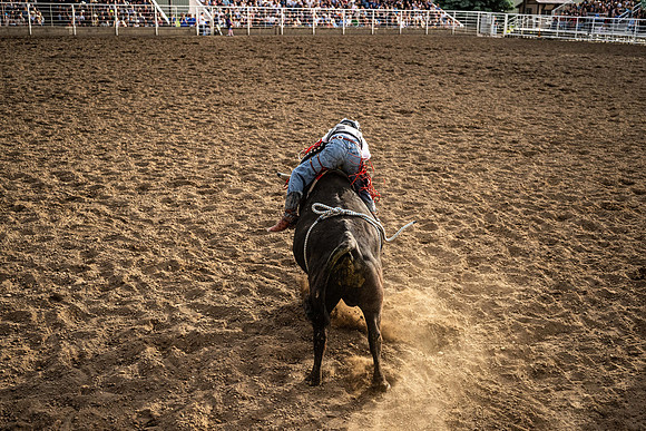 SpringFest Rodeo - June 2026