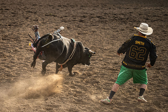 SpringFest Rodeo - June 2026