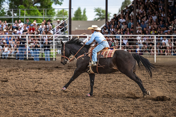 SpringFest Rodeo - June 2026