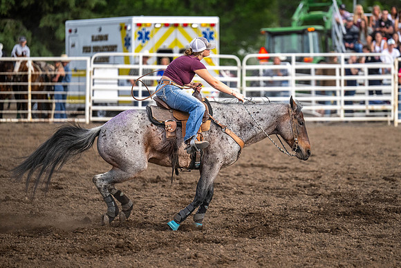 SpringFest Rodeo - June 2026