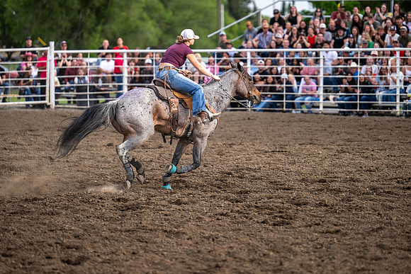 SpringFest Rodeo - June 2026